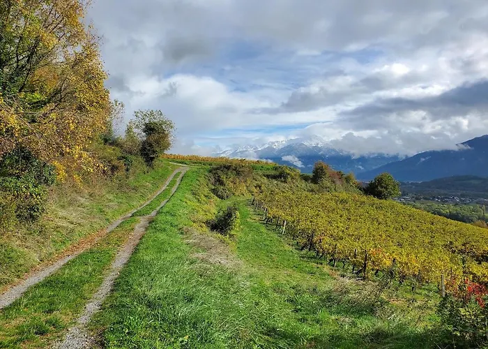 Casa de Férias Petit Sartot De Vignerons *